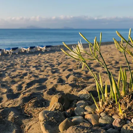 Olympia Mare Kardamena (Kos)