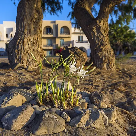 Olympia Mare Apart-hotel 4*