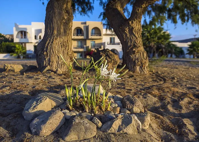 Olympia Mare Apart-hotel 4*