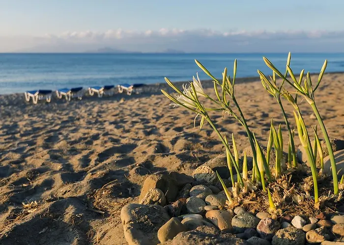 Olympia Mare Kardamena (Kos)
